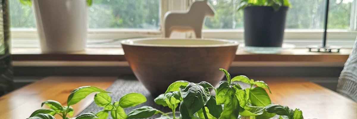 Foodandnature cover