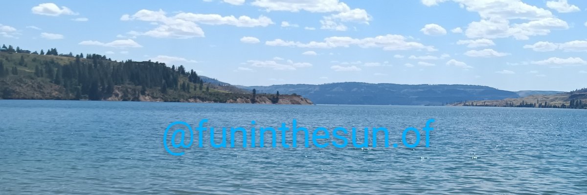 Sunny☀️🩷💛🩵 cover