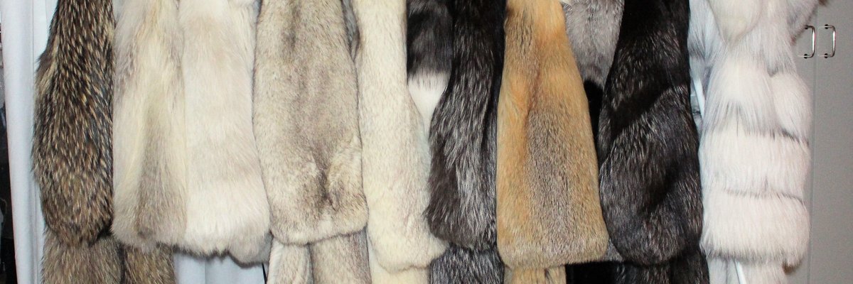 Fur Mommy cover