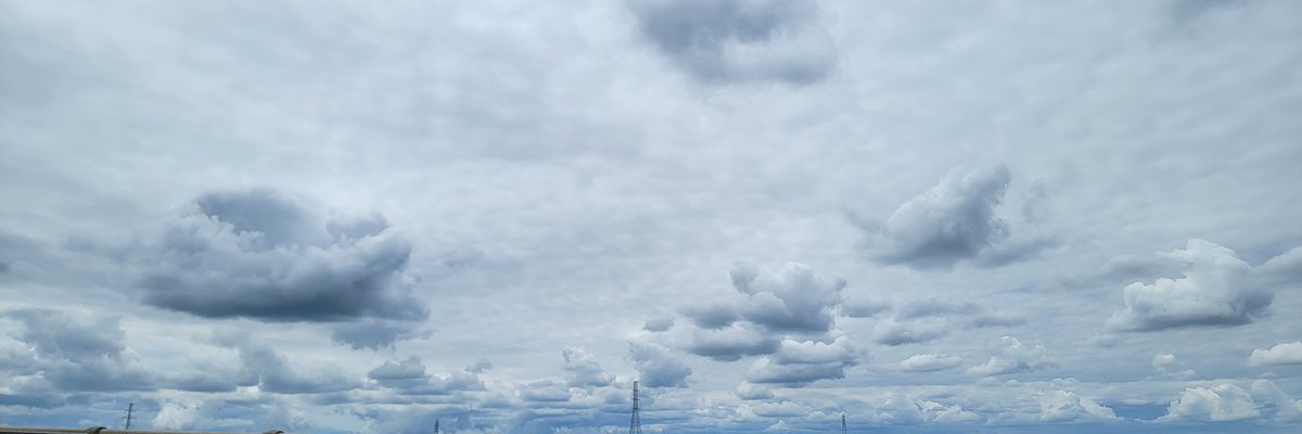 Hairy Mommy Mandy cover