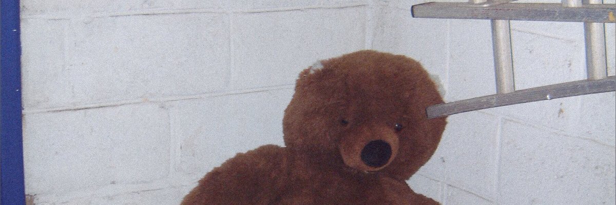 Gina Flash ☆ FREE cover