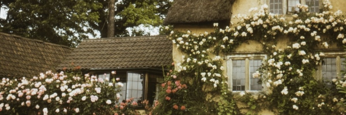 Persephone 🫶🏼 cover