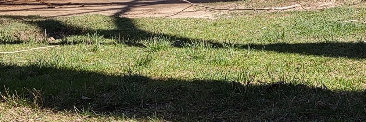 copper, fat butch cover