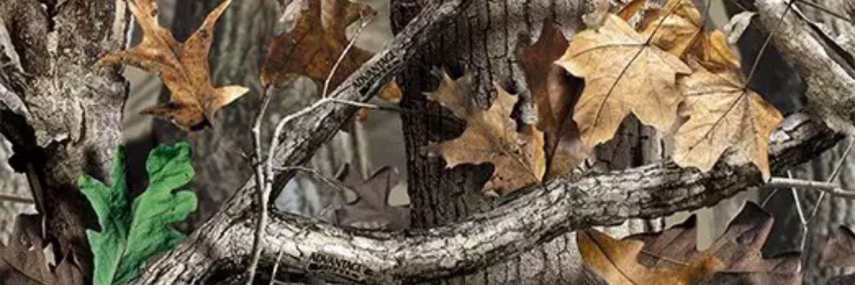 Real Princess tiabeanie 🌸 cover