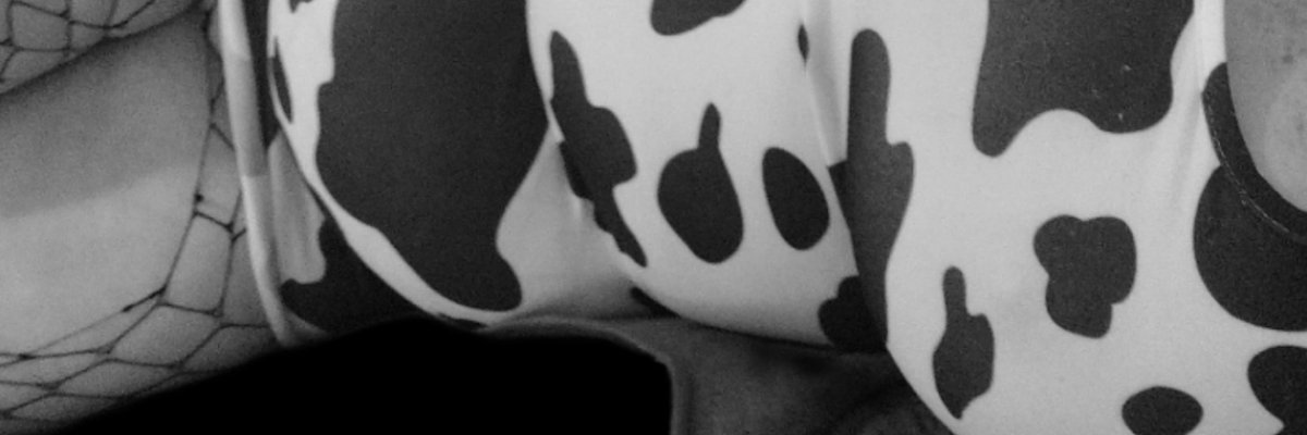 Houseof_disgrace cover