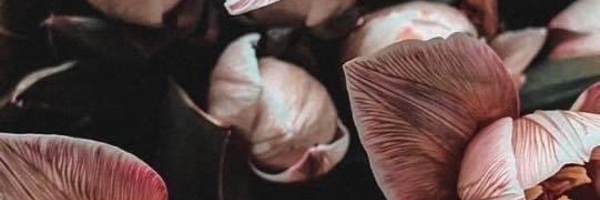 Your virtual girlfriend 💖 cover