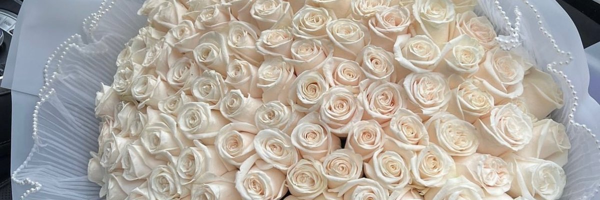 𝒜𝓁ℯ𝓈𝓈𝒾𝒶 🌹 cover