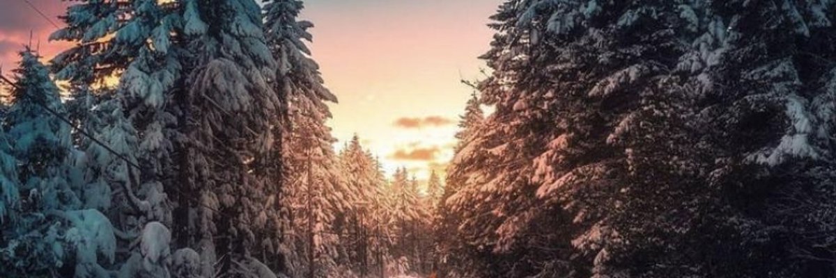 Jones VIP page cover