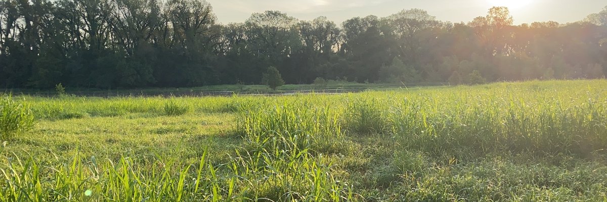 Luna KillsonTop cover