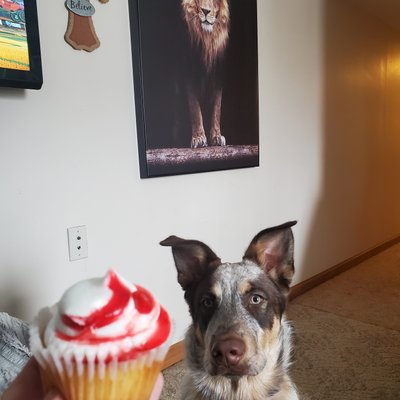 o.O π¦