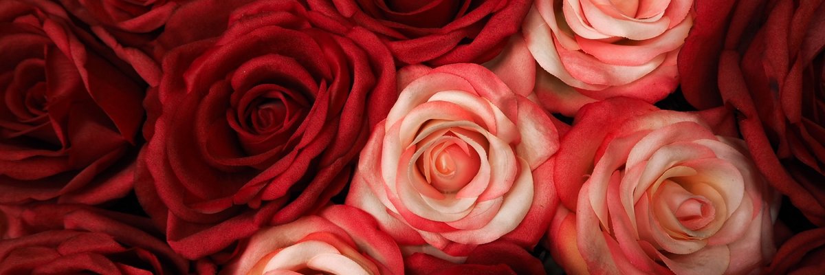 Klarisa  Katniss Pegan cover