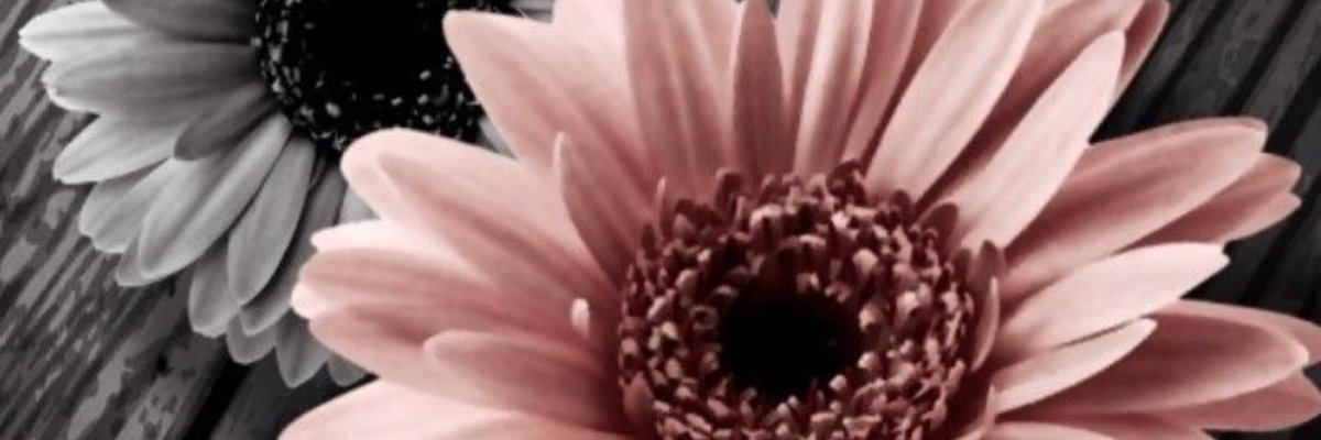 Klein aber fein cover