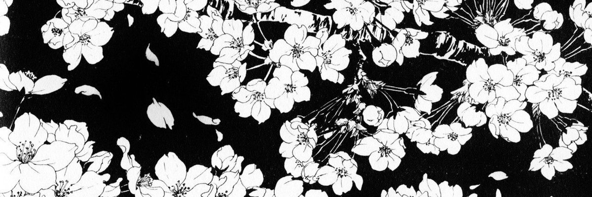 Jeri cover