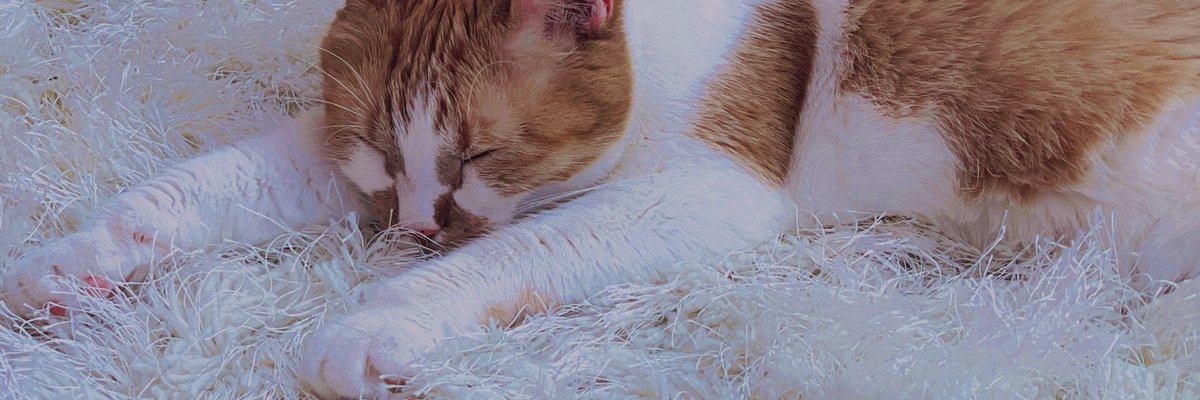 Leana Lovings ♡ cover