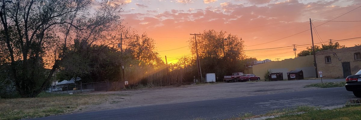 Long Leg Momma cover