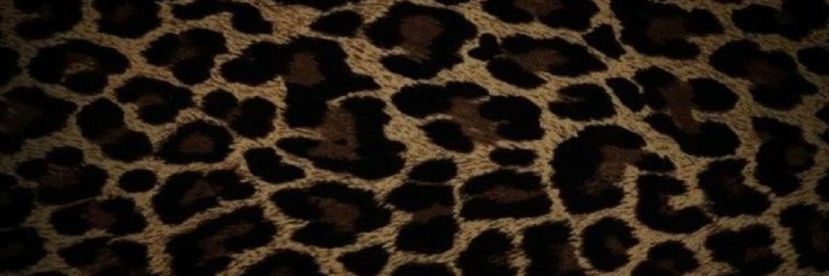 LeonaLionheart🦁 cover