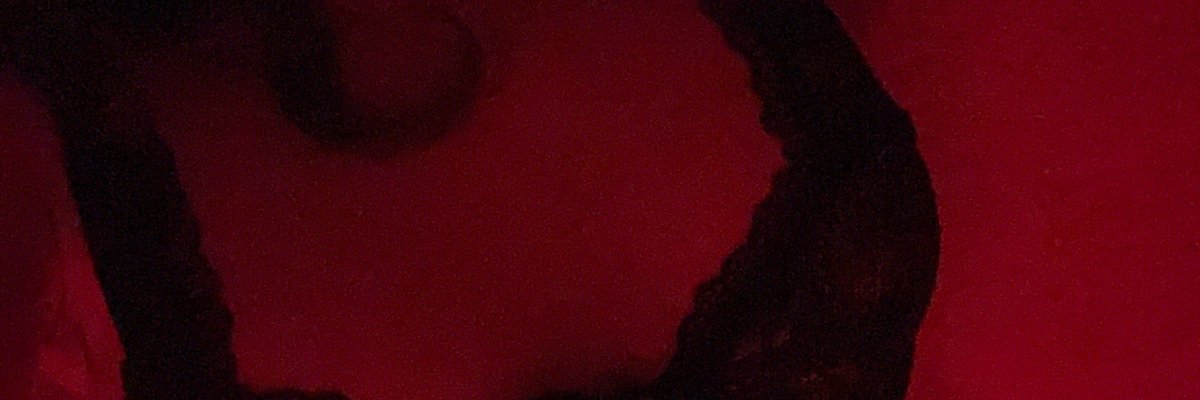 Lexi Void cover