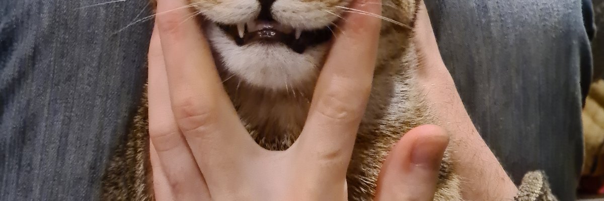 Paused/offline❤️ Coming back soon! cover