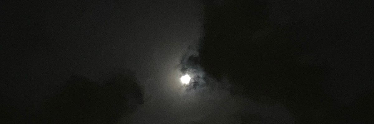 lilbopeep cover