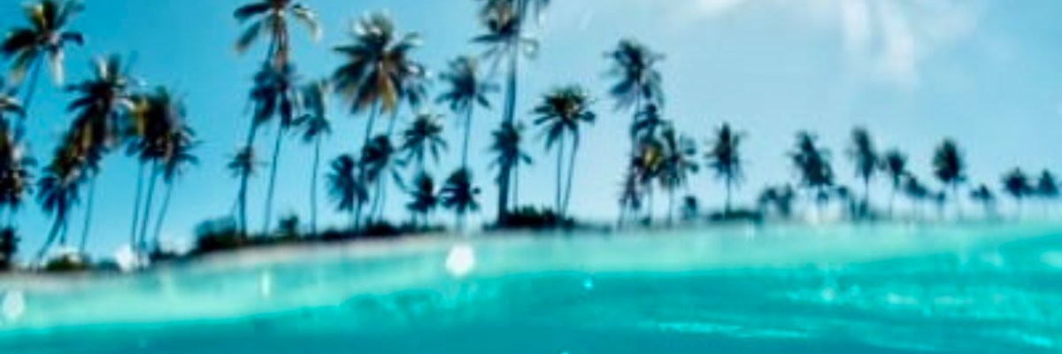 ᗷᗩ𝗂ᒪ𝖤Y🫧🐠 cover