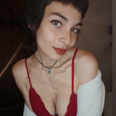 🌳 Lily Wild 🌳