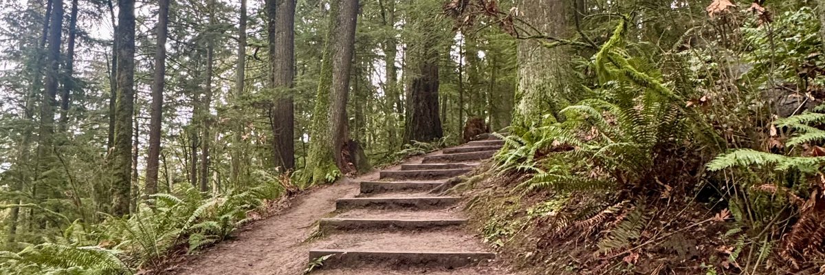 Lindsay Felton cover