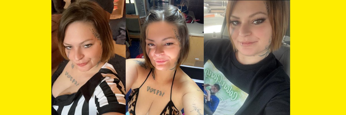 FaceRider Free cover