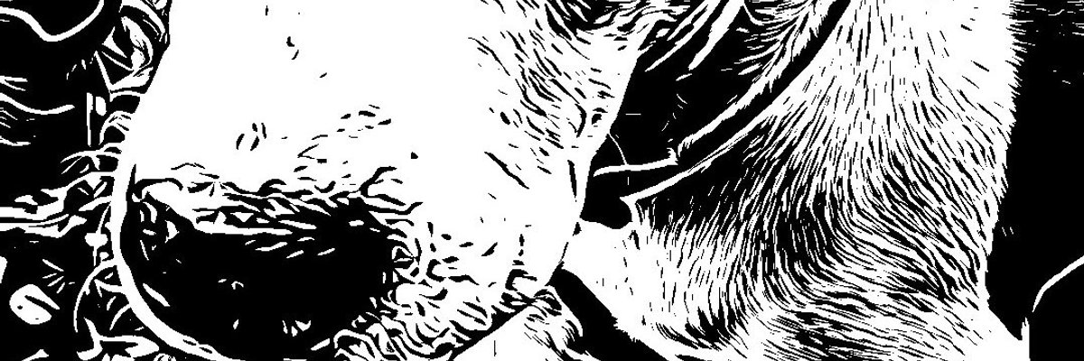 Stitch 626 cover