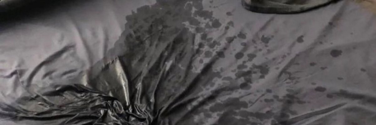 lyli Fly (free) cover