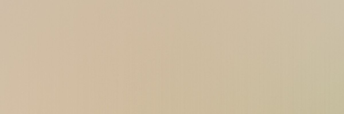 Lily cover