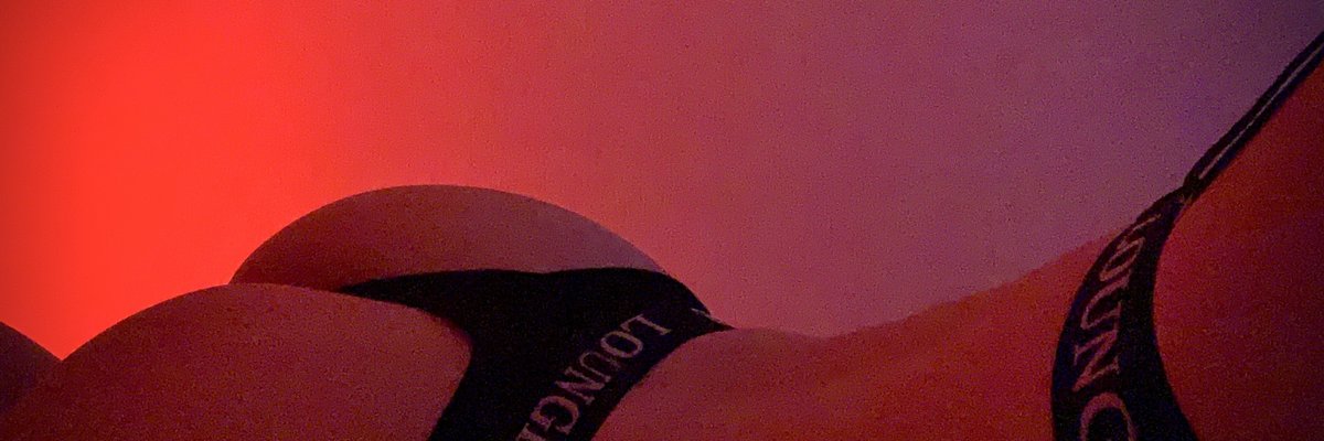 Maddison Black cover