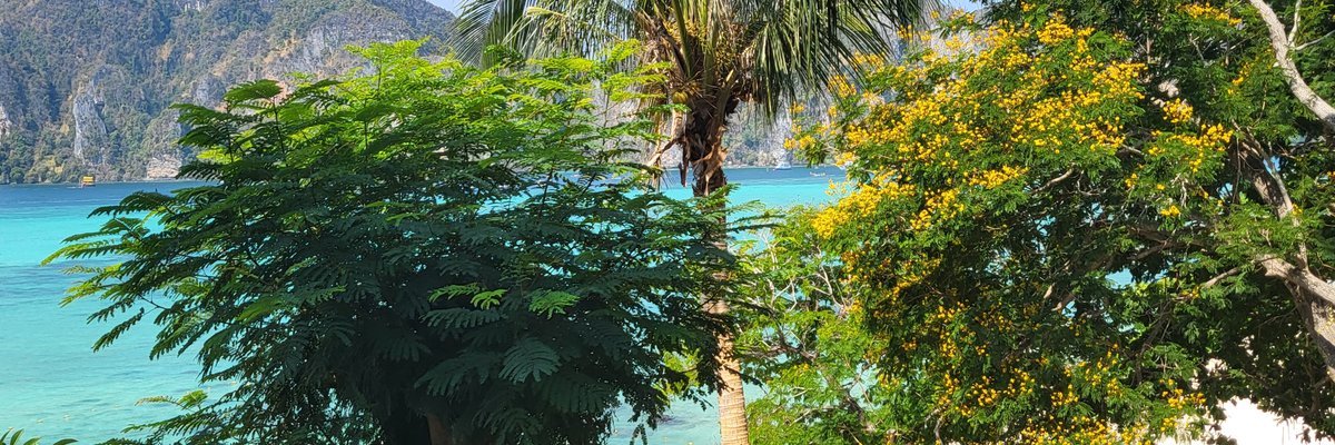 Marc the Viking cover