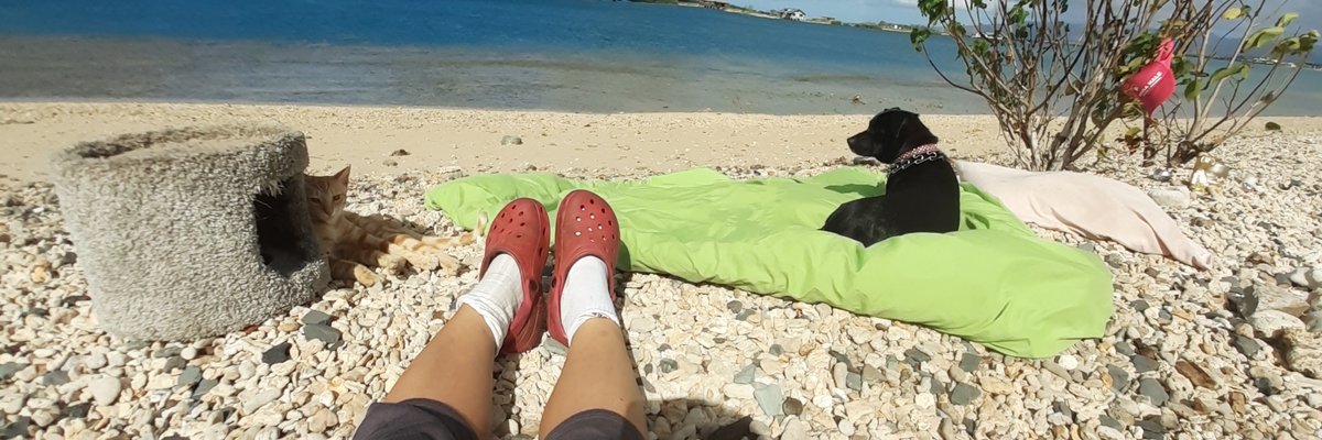 Houseless Priestess Mariko O Sand Island cover