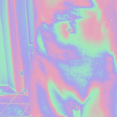 Marley Oscar