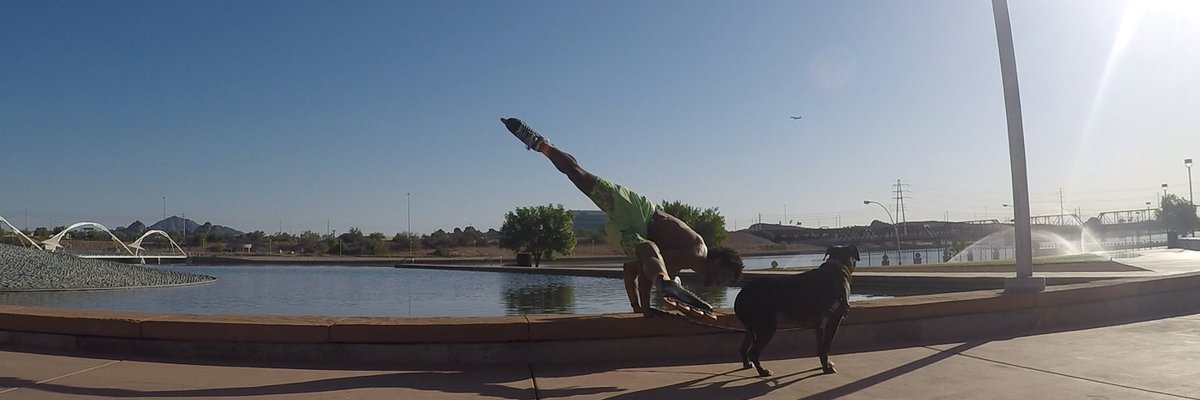 Max Flow yoga cover