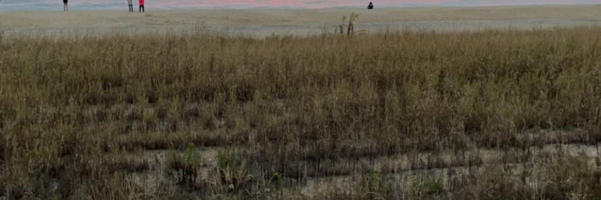 Melanie Hartman cover