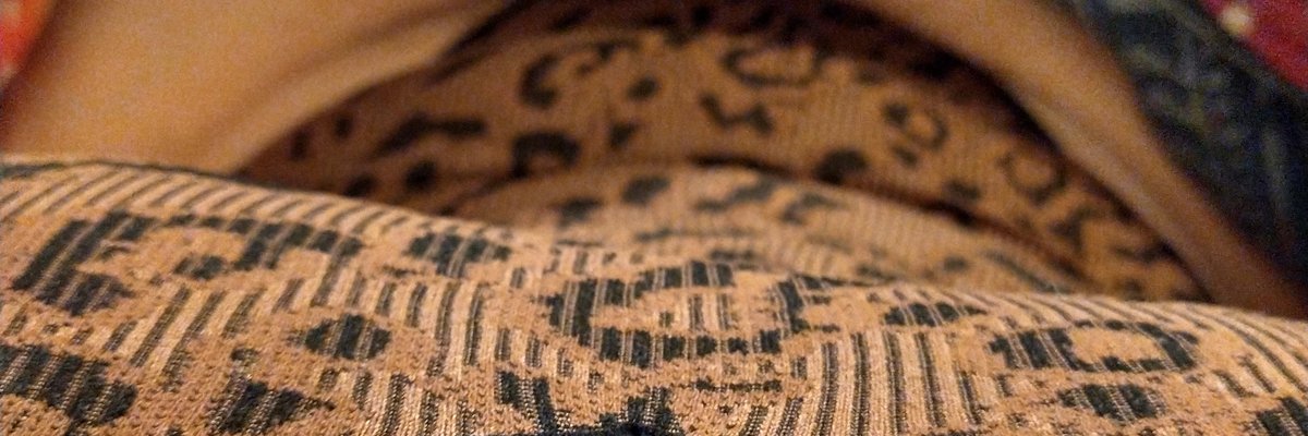 Gigi Melons aka Meg cover