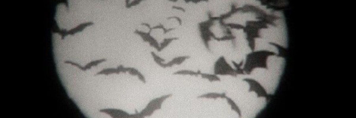 вιgтιтту ємσ αѕιαη gƒ🖤⋆˙⟡ cover