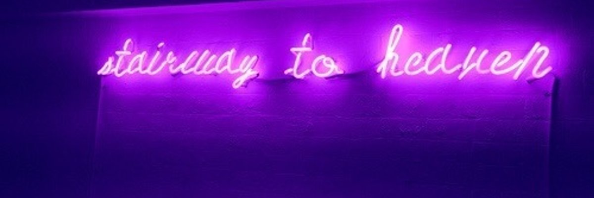 😈THE MINX💦 cover