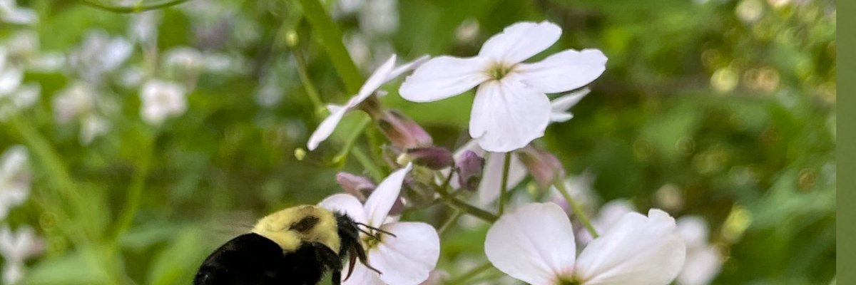 Miss.inhermind cover