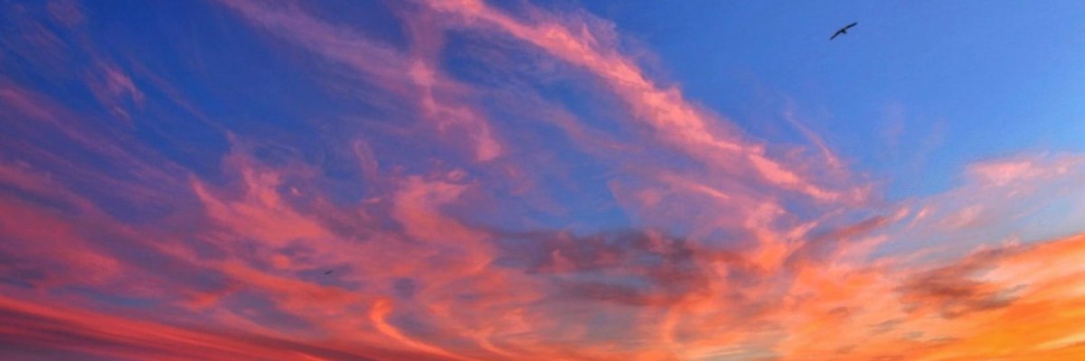 Krystal Schreiber cover