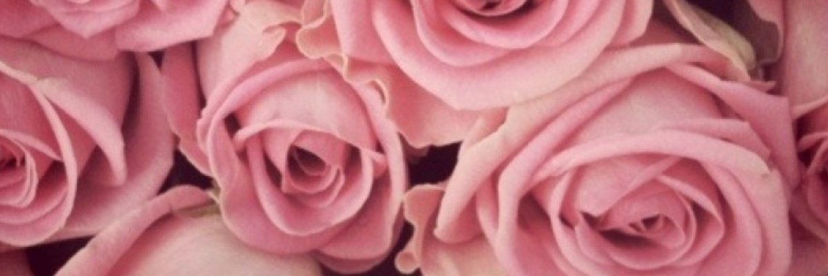 MissPhoebev cover
