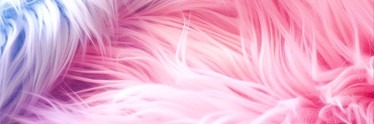 Missscutiepie cover