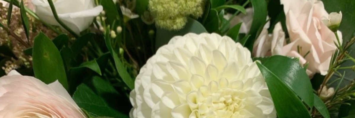 Mistress Auburn cover