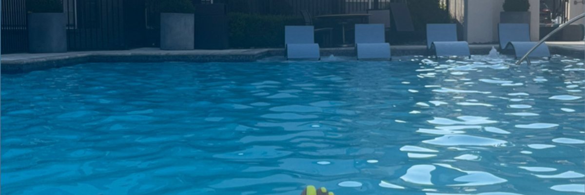 MochaLovesMoney cover