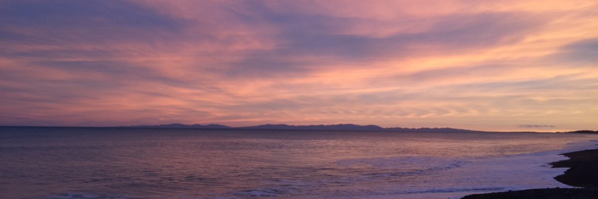 Mollie Summers cover