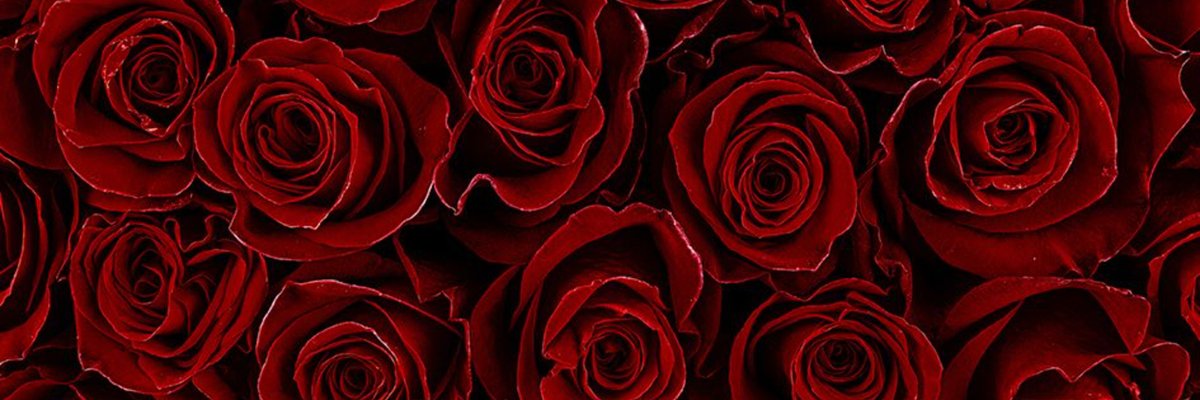 Mommy Rozie 🌹 cover