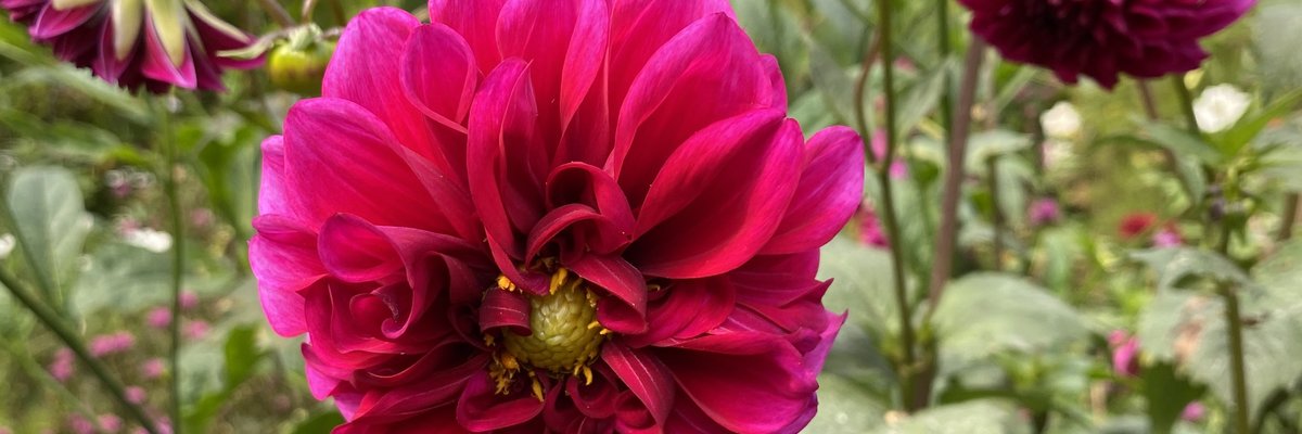 Foot fetish sexy cover