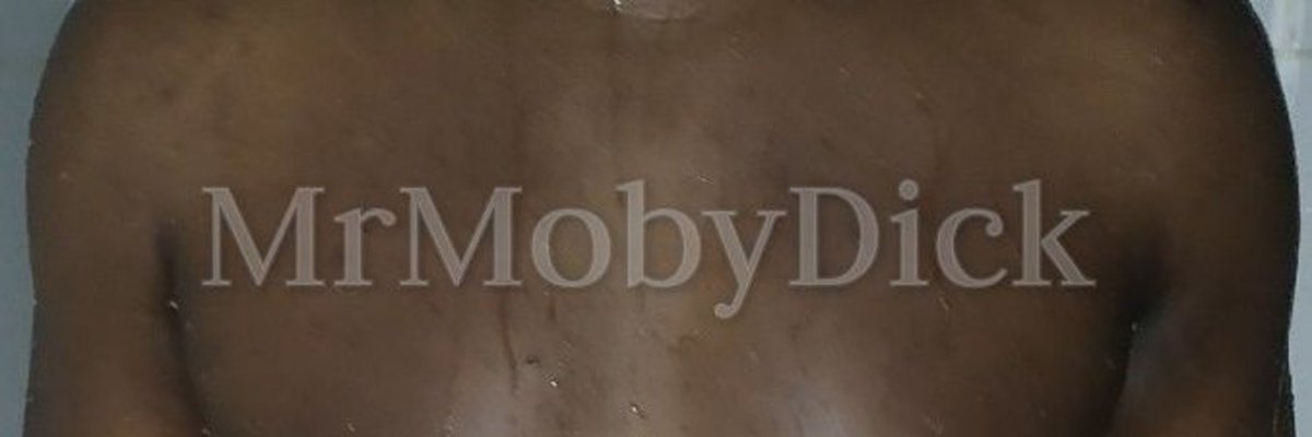 Mr_MobyDick (Free Page) cover