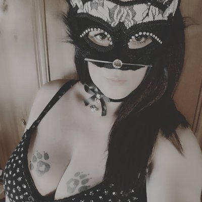 Kitty Katt